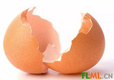 鸡蛋壳属于什么垃圾