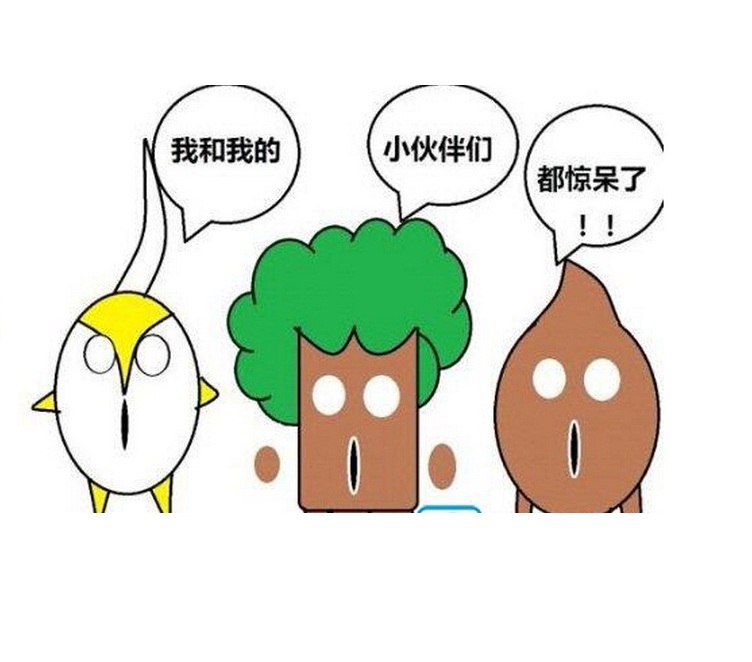 ï��ȫ����