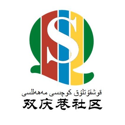 ˫