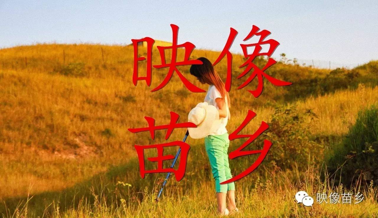 ӳ������