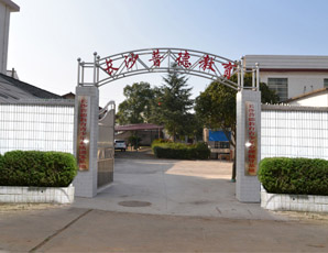 ��ɳ�յ½���