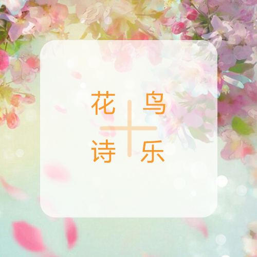 糿