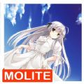 缘之空@Molite 缘之空@Molite