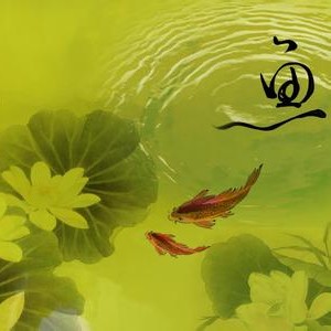 ȫ��������