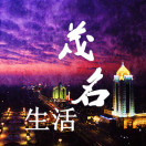 ï����������ָ��