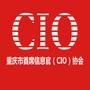 CIOЭ