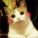 �谮è��