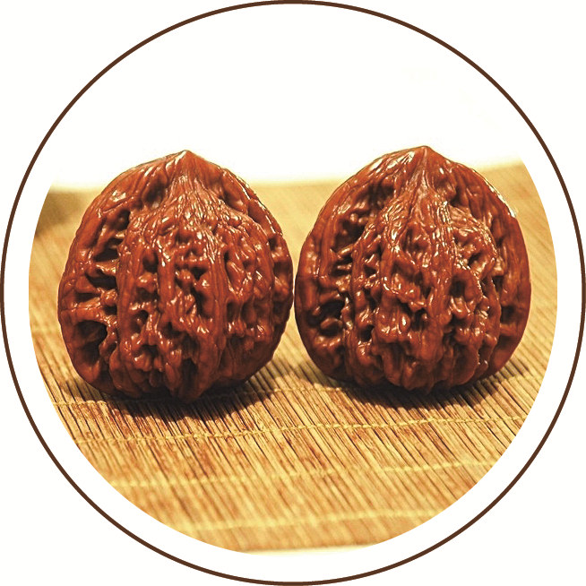 ����ָ��