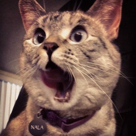 ����һ����Ц��