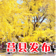 ���ط���