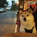 �����˱���