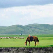 ���ױ�������