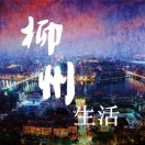 �����б�������ָ��