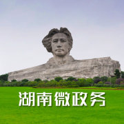 ����΢����