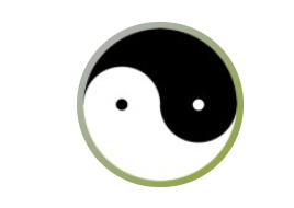 ʦָ