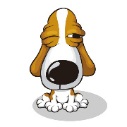 ���밮������