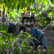 ��Ȫ�һ���