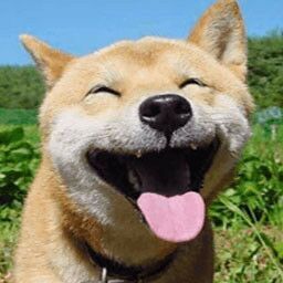 ���챬Цվ