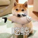 լլ