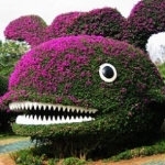 �������