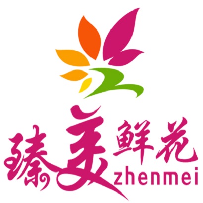 ����ZHENMEI�ʻ�
