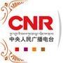 й㲥CNR