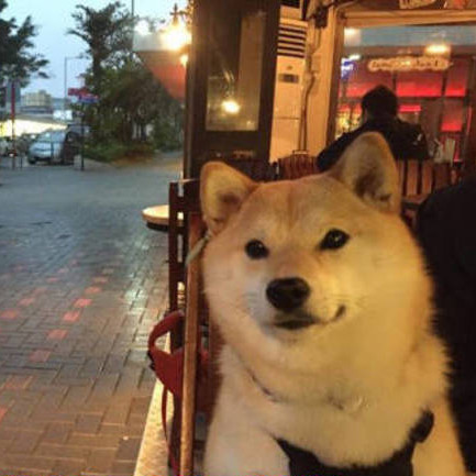 ��Ѽ��7�о���