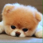 �󰮹�����