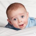 ����baby֪ʶ
