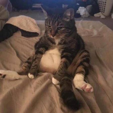 ������è