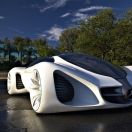 ������;��ֲ�