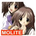֮2@Molite