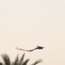 ���ɲ�����