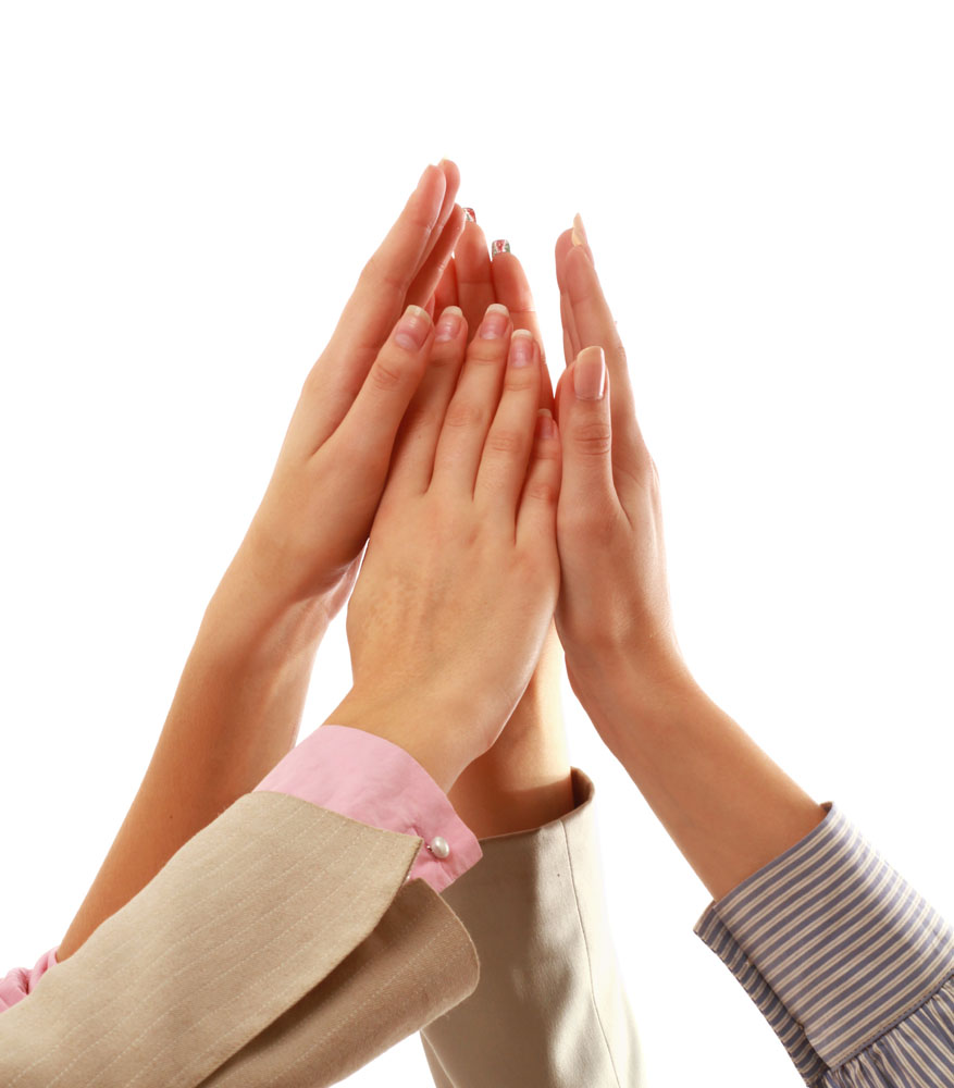 ���������ѯ