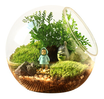 ����ֲ�ｻ�װ�