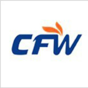 CFWйװ˲
