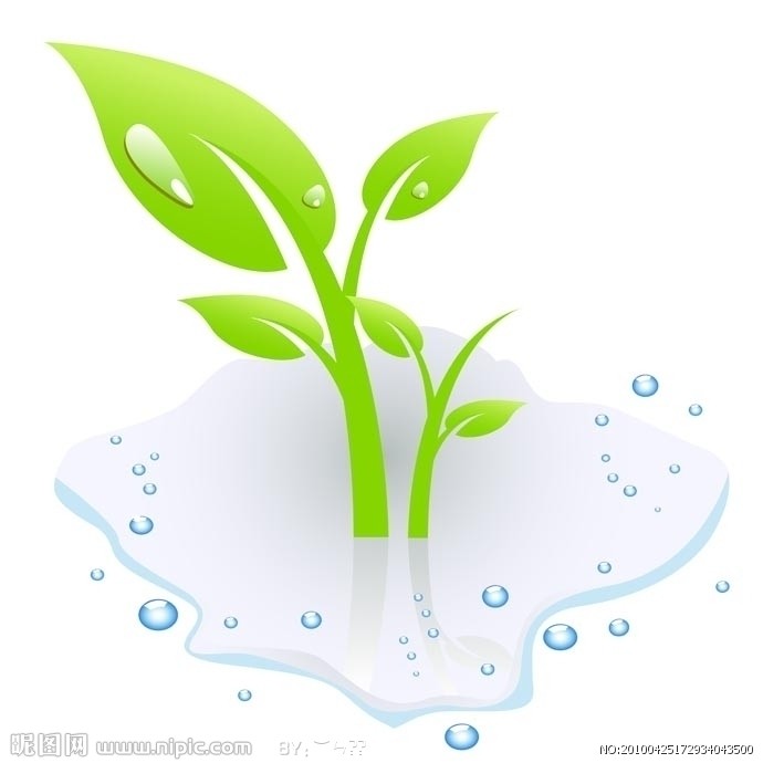 ����С��