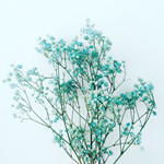 ��Ц��summerС��