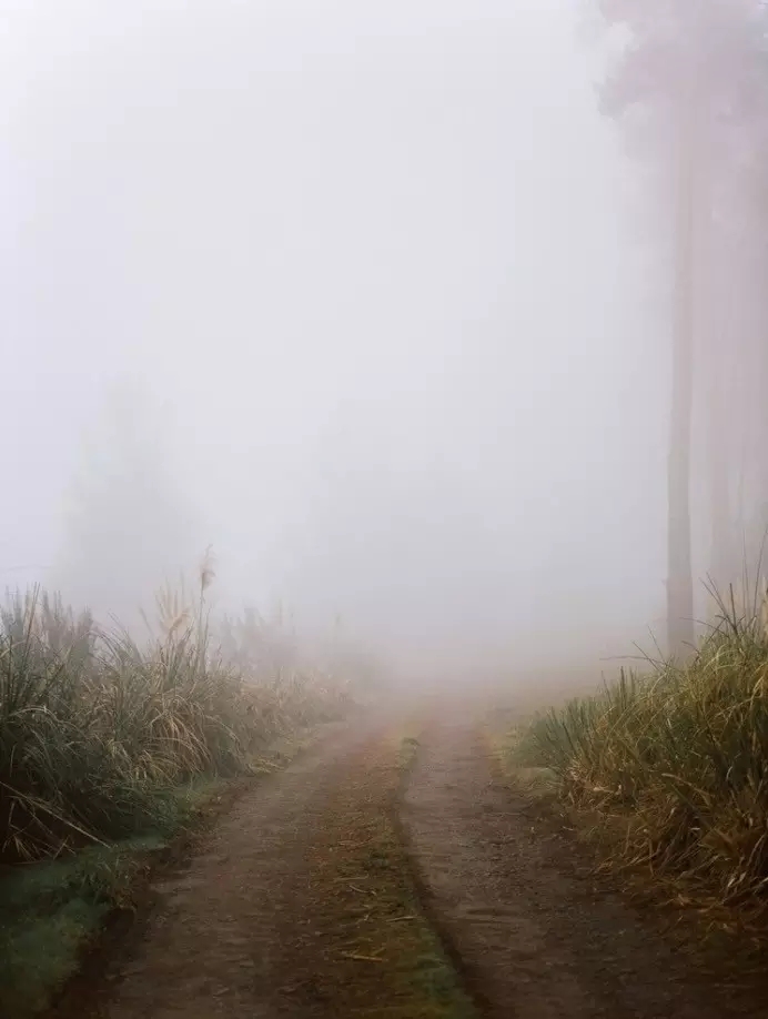 ֱ