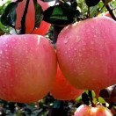 �߷���ˮ��