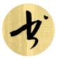 鷨ѧϰ