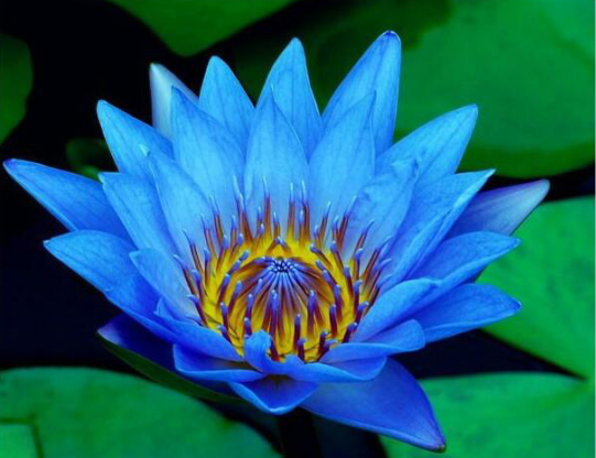 ������Ȥ��