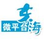 ������΢ƽ̨