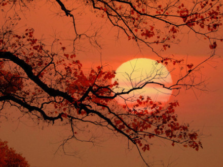 �����ѧʫ����ʷ�Ļ�Ψ���й���