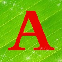 ˼ά