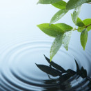 ������ѧ��