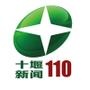 ʮ110