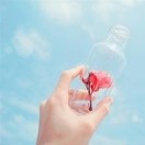 �Ҹ��ػ���