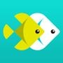����APP