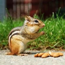 ����Ȥζ����